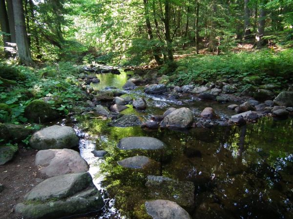 Malerisches Bodetal
